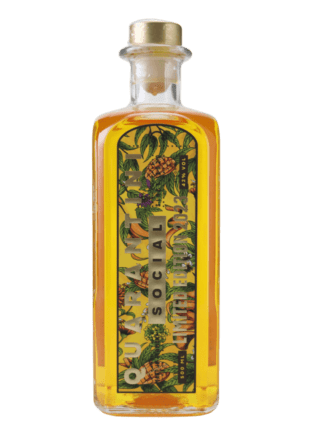 Quarantini Mango Edition 2024 - Gin